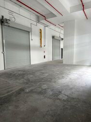 Ct Foodnex (D25), Factory #576569421